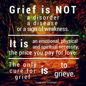 grief not a disorder