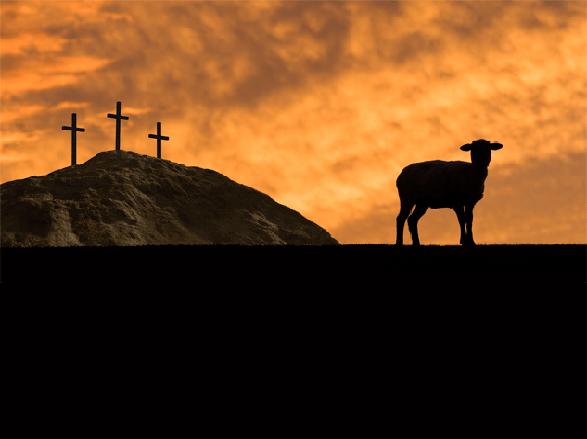 lamb of god with crosses