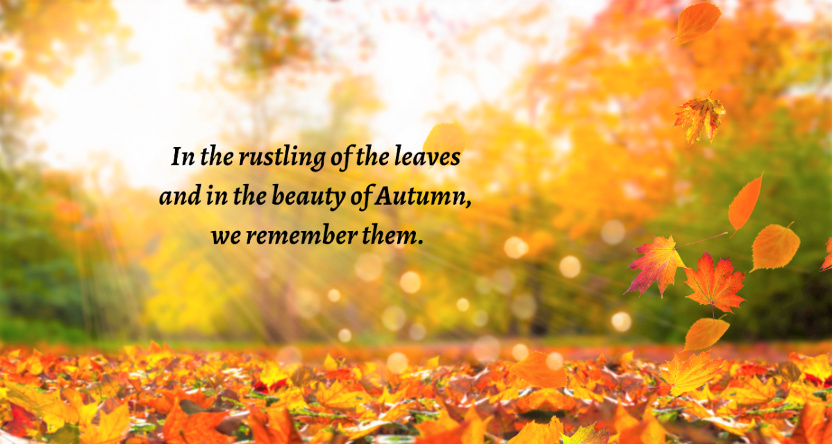 In The Rustling of the Leaves, We Remember Them